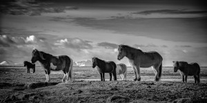 Into the Wind